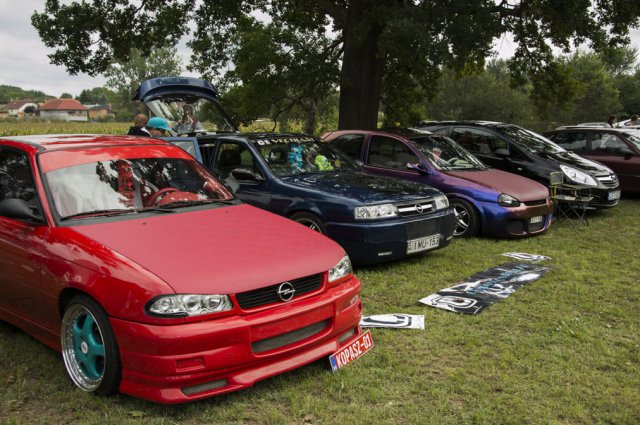 Falunap 2015